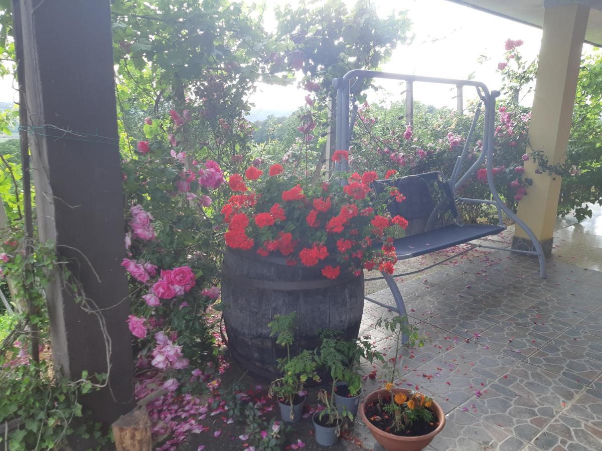 Willa House Of The Red Poppy Mirkovec Zewnętrze zdjęcie